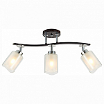 Спот Citilux Фортуна CL156132 250_100_1685541