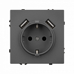 Розетка с заземлением и 2хUSB type A, без рамки Arlight SCT 054291 250_100_1603127