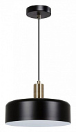 Подвесной светильник Arte Lamp Skat A7052SP-1BK 500_191_2454947