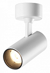 Спот Novotech Selene 359229 250_100_1701214