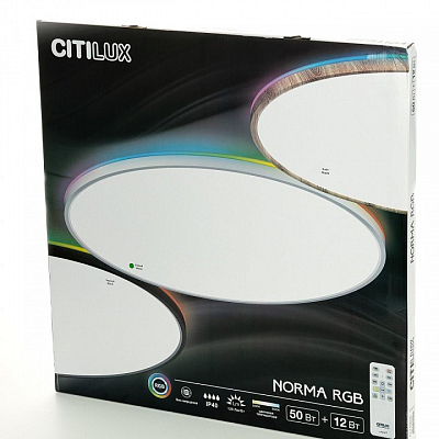 Накладной светильник Citilux NORMA CL749600 400_400_1694967