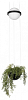 Подвесной светильник Loft it Jardin 10121/B 100_100_2460920