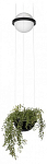 Подвесной светильник Loft it Jardin 10121/B 250_100_Array