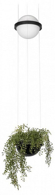 Подвесной светильник Loft it Jardin 10121/B 400_400_2460920