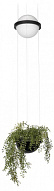 Подвесной светильник Loft it Jardin 10121/B 500_191_2460920