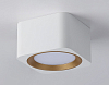 Накладной светильник Ambrella Light TN TN70831 100_100_2019340