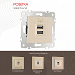 Розетка USB, без рамки Arte Milano am-203 203.46-1.shampan 250_100_2166715