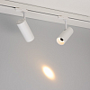 Светильник на штанге Arlight SILMA 060461 100_100_2865509