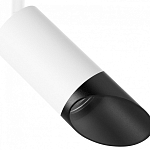 Светильник на штанге Lightstar Rullo R1T43637 250_100_1715155