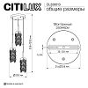 Подвесная люстра Citilux RONIN CL326013 100_100_3081882