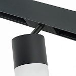 Светильник на штанге Lightstar Rullo PRO348781 250_100_1717901