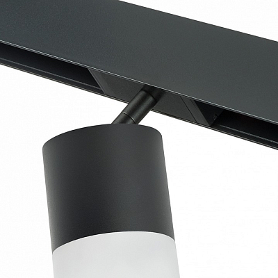 Светильник на штанге Lightstar Rullo PRO348781 400_400_1717901