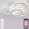 Потолочная люстра Natali Kovaltseva Damask HIGH-TECH LED LAMPS 82060 100_100_1885061