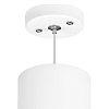 Подвесной светильник Lightstar Rullo RP649687 100_100_1715292