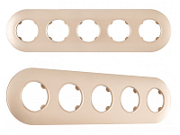 Рамка на 5 постов Arte Milano am-502.08 502.08-5.shampan 250_100_Array