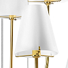 Подвесная люстра Lightstar Diafano 758212 100_100_1711547