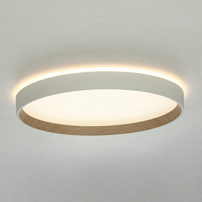 Накладной светильник Citilux ETALON CL750320R 400_400_3162476
