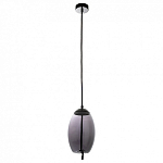 Подвесной светильник Arte Lamp Cody A7769SP-1BC 250_100_1822366