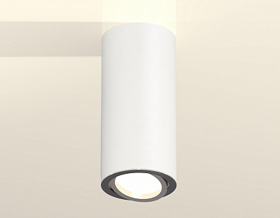 Накладной светильник Ambrella Light XS XS7442003 400_400_2006284