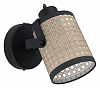 Спот Eglo Ruscomb 43493 100_100_2226744