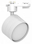 Светильник на штанге Feron AL176 48698 250_100_Array