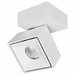 Спот Citilux Стамп CL558020N 250_100_Array