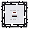 Розетка 2хUSB type A и C без рамки Kollinger Asthetik AS-024WH 100_100_3118744