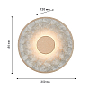 Накладной светильник Favourite Solarius 4858-1W 100_100_3098534