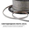 Лента светодиодная OGM  O17-07 100_100_2854122