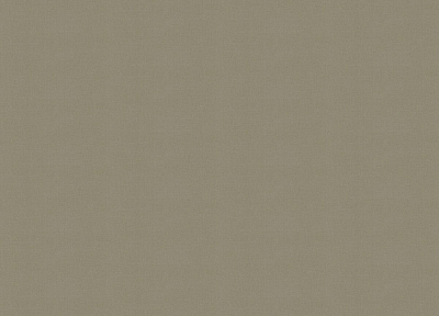 A101319 Обои ARTSIMPLE (1*6) 10,00x1,06 винил на флизелине 400_400_2148301
