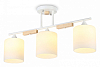 Люстра на штанге Ambrella Light TR TR9546 100_100_2421913