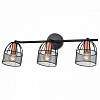 Спот Vele Luce Modello VL6452W03 100_100_1910574