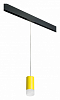 Подвесной светильник Lightstar Rullo PRORP43331 100_100_2460365