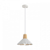 Подвесной светильник Lumion EOLIANA 8352/1A 100_100_2173254