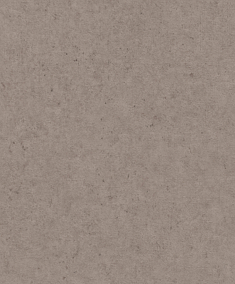 520873 Обои Rasch (1*12) 10,05x0,53 винил на флизелине 400_400_2687648