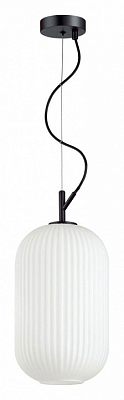 Подвесной светильник Odeon Light Roofi 4751/1 400_400_1724785