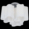 Потолочная люстра Lightstar Nubi 802030 100_100_1713585
