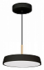 Подвесной светильник Arlight ELEGANT 033920(1) 100_100_1900411