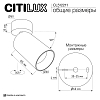 Накладной светильник Citilux AXEL CL512211 100_100_3098694