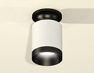 Накладной светильник Ambrella Light XS XS6301121 250_100_2007565