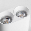 Накладной светильник Lightstar Rullo 213466 100_100_3155473