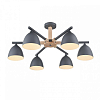 Люстра на штанге Lumion Colange 8096/6C 100_100_1864960