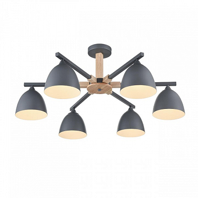 Люстра на штанге Lumion Colange 8096/6C 400_400_1864960