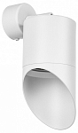 Спот Lightstar Rullo RBX348686 250_100_1721270