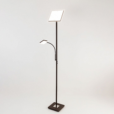 Торшер с подсветкой Citilux Харди CL802015 400_400_1672976
