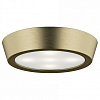 Накладной светильник Lightstar Urbano mini 214712 100_100_2448529