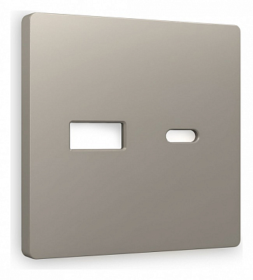 Накладка для розетки type A и C Ambrella Volt ALFA AP3710 400_400_2185136
