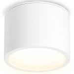 Накладной светильник Ambrella Light TN TN6550 250_100_2025301