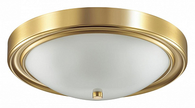 Накладной светильник Lumion Nina 5259/3C 400_400_2449032