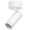 Спот Lightstar Canno Pro C4206SO 100_100_3095470